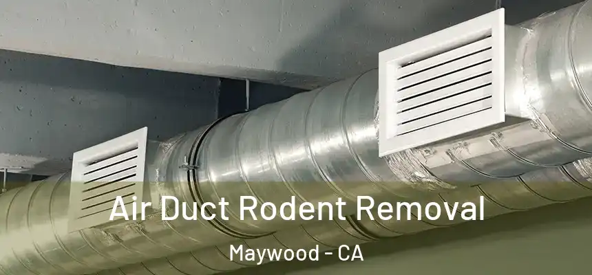  Air Duct Rodent Removal Maywood - CA