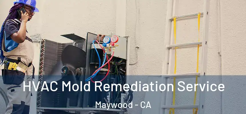  HVAC Mold Remediation Service Maywood - CA