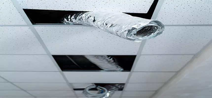 Our Air Duct Pet Hair Removal Services in Maywood, CA