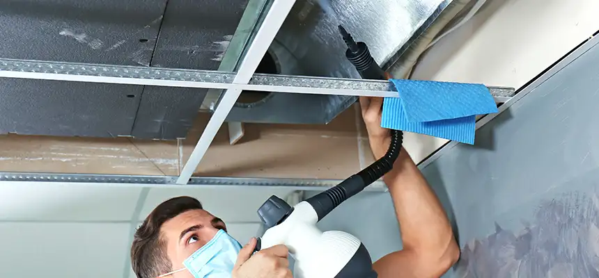 Our Air Duct Rodent Removal Services in Maywood, CA