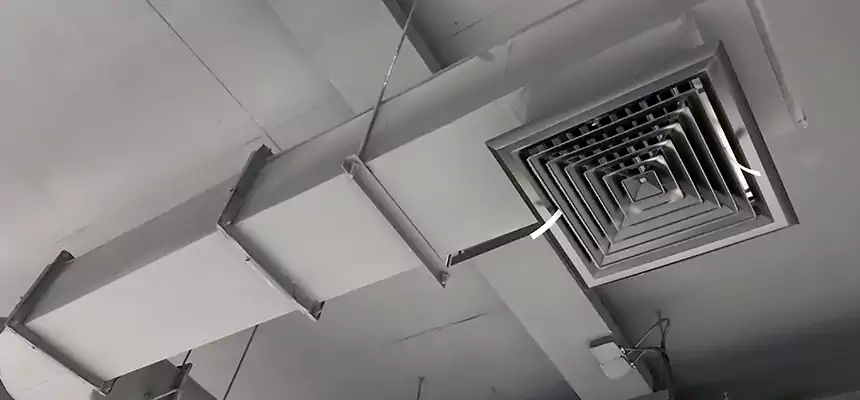 Our Pest Removal From Ducts Services in Maywood, CA