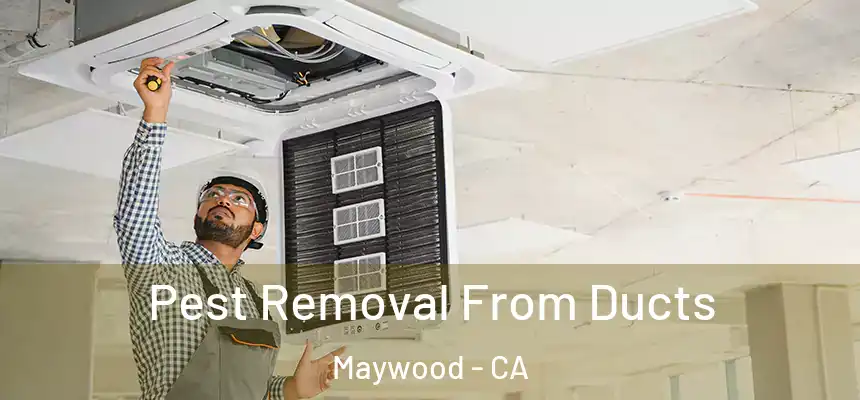  Pest Removal From Ducts Maywood - CA