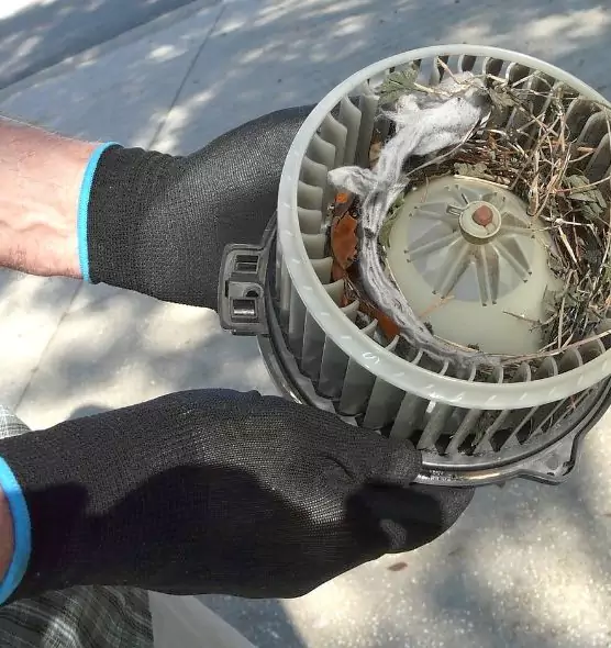 About Air Duct Mice Removal in Maywood, CA