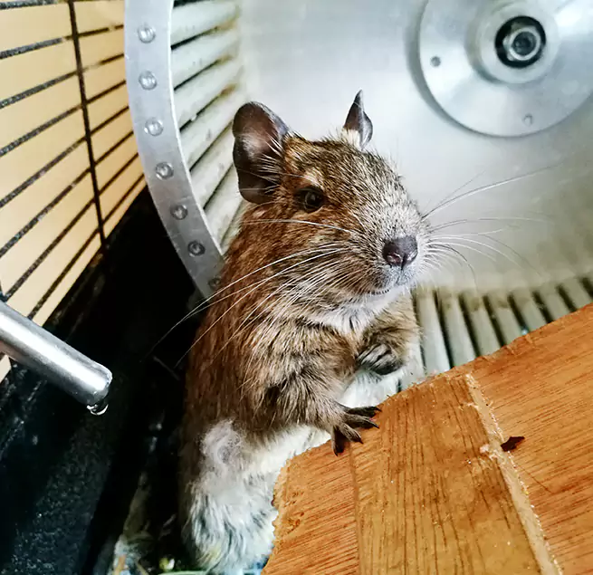 Why Homeowners & Businesses Trust Us Maywood, CA?