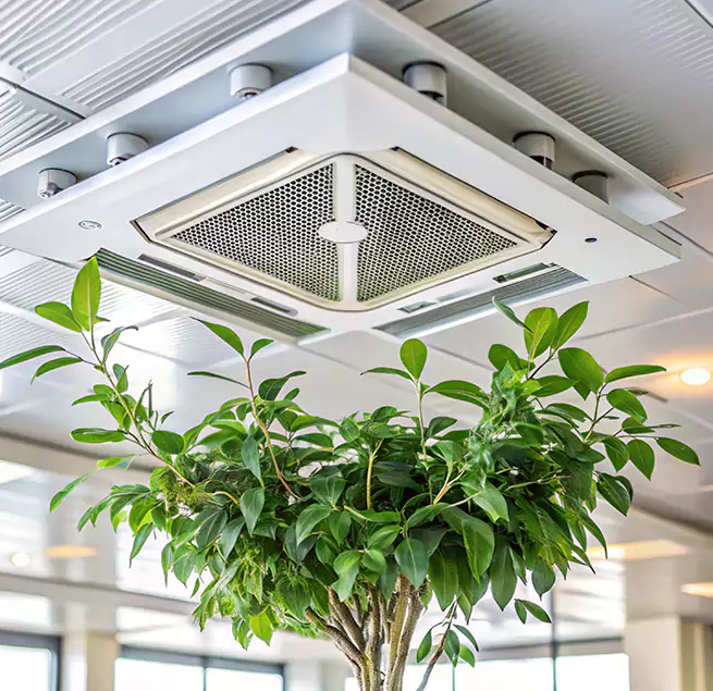 Why Homeowners & Businesses Trust Us in Maywood, CA?